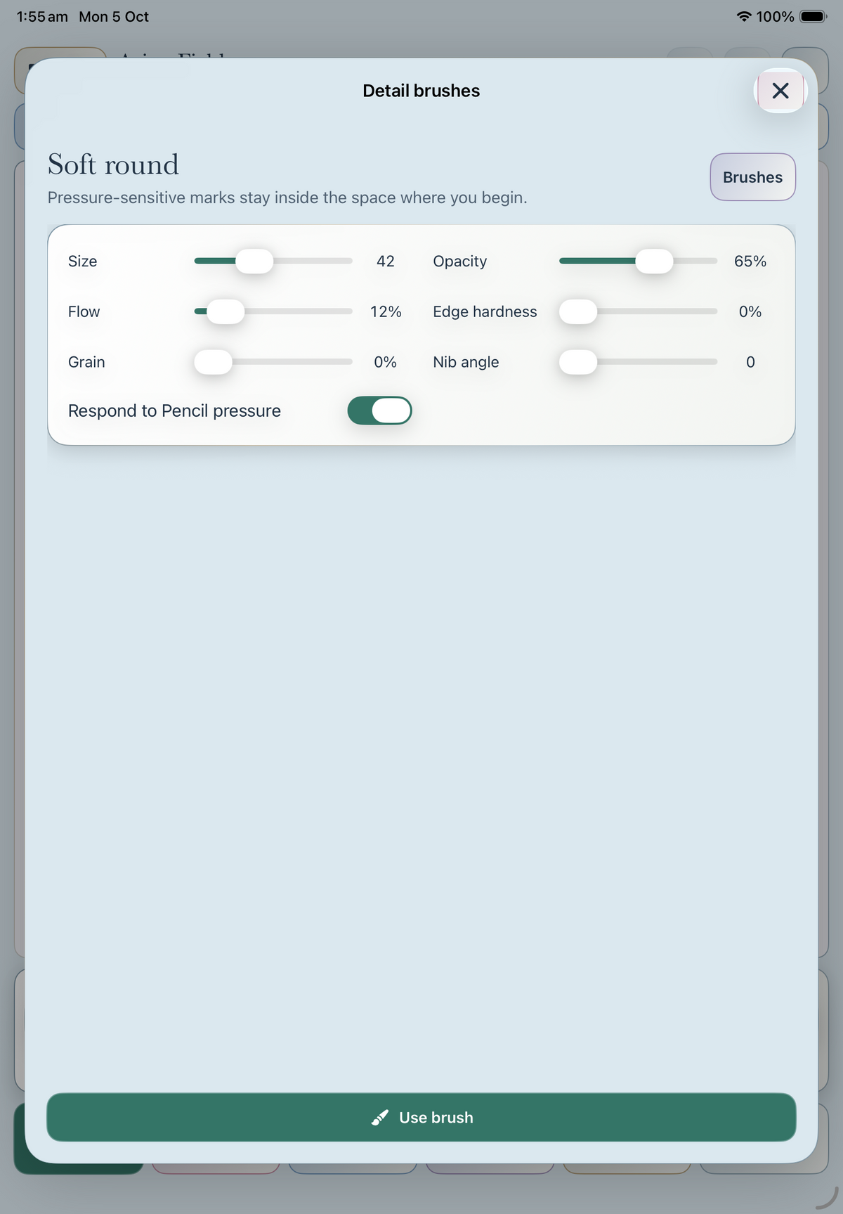Detail brush controls for size, opacity, flow, edges, grain and Pencil pressure.